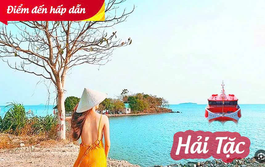 Hải Tặc